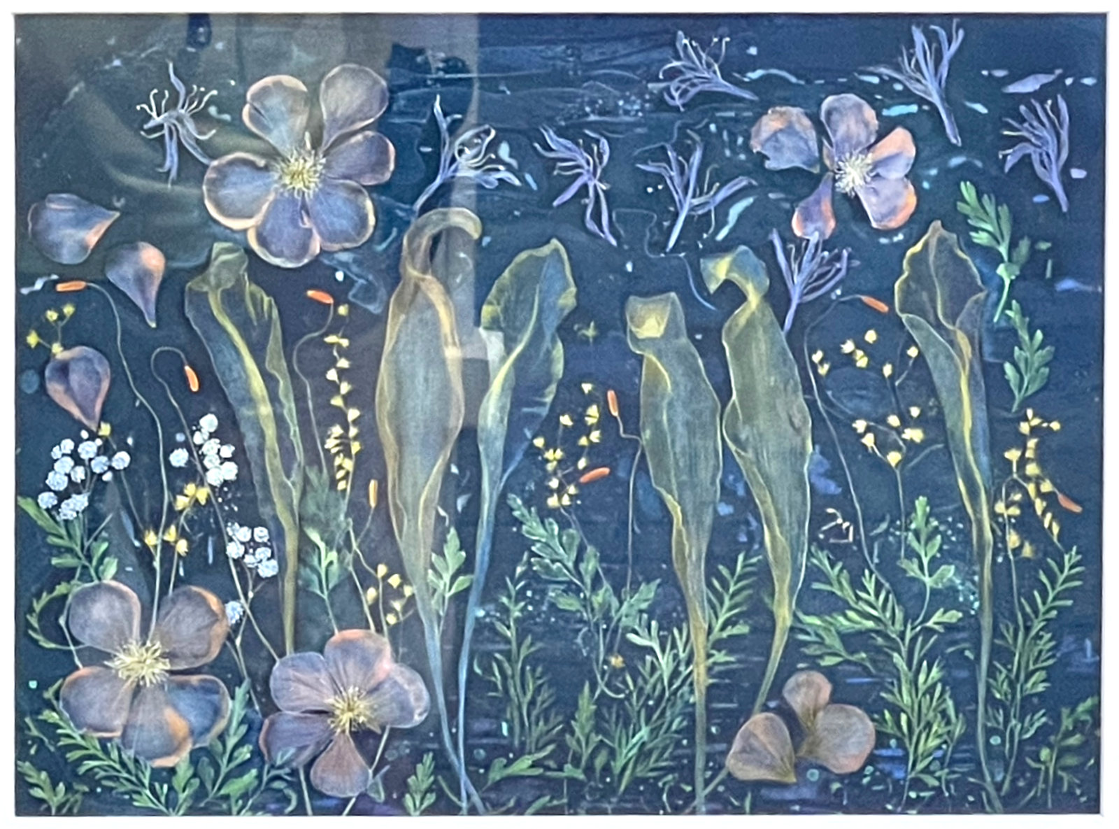 Exhibited print