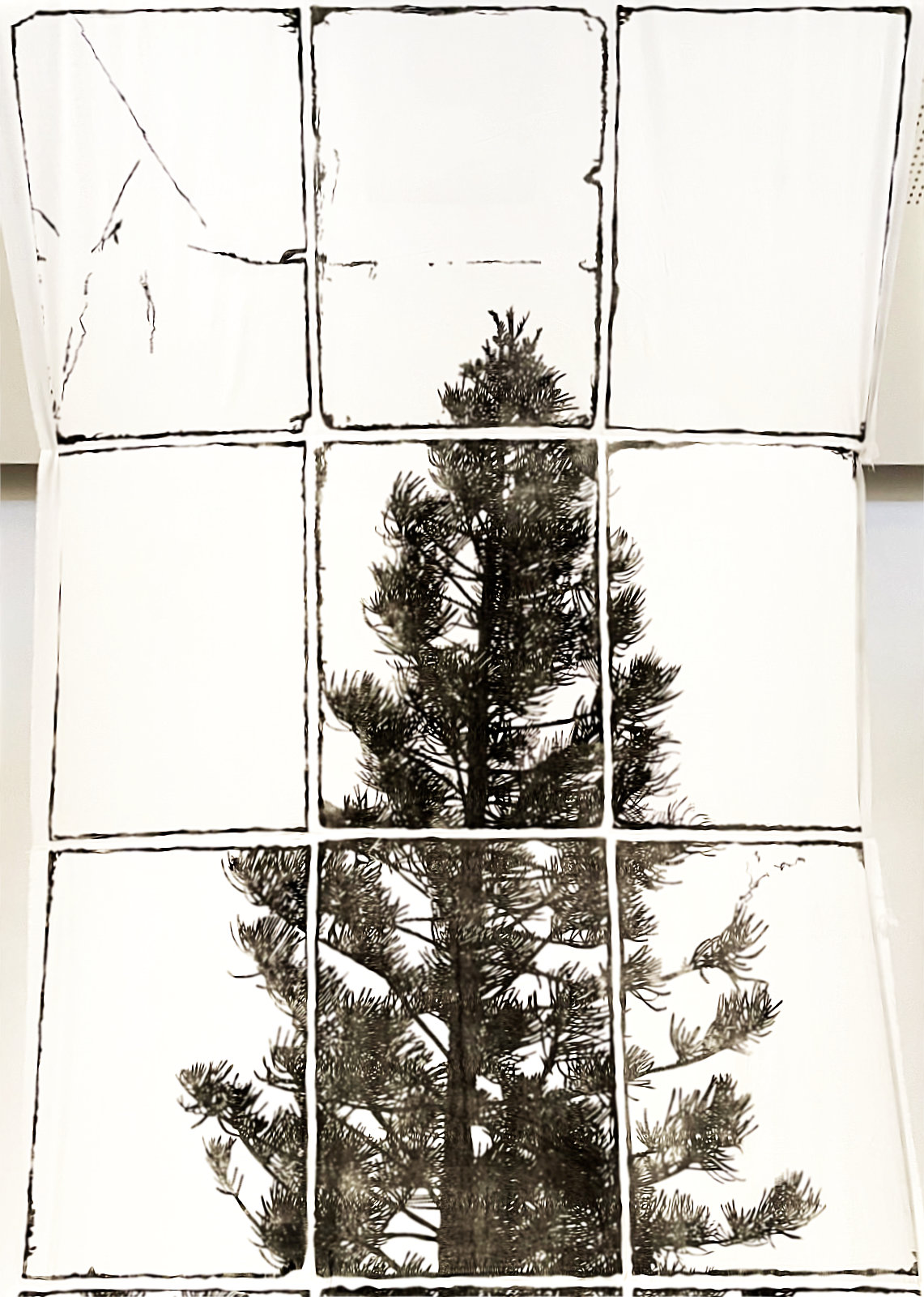 Exhibition image