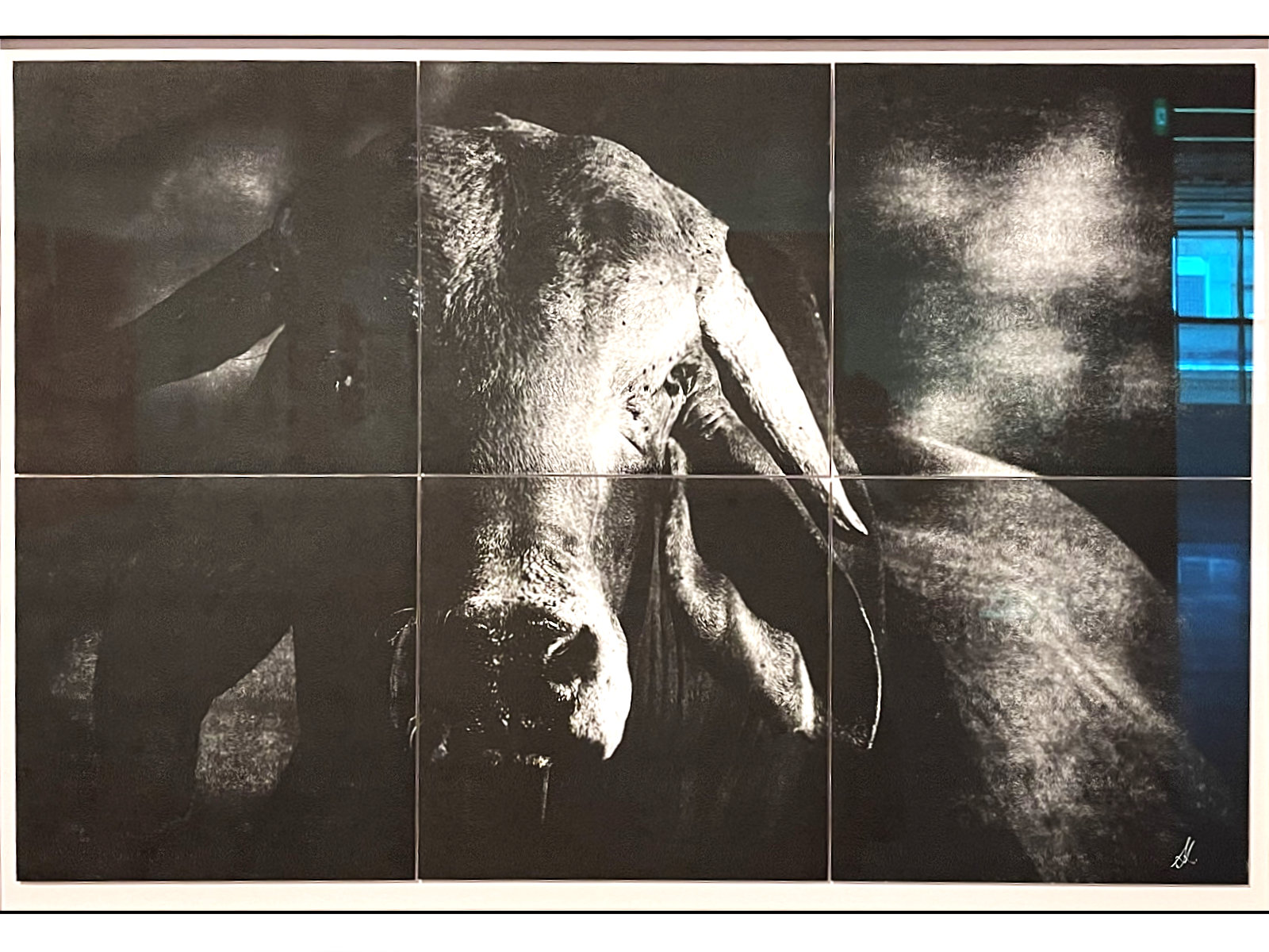 Exhibition image