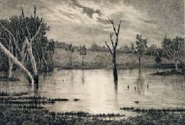 RMOA Collection image