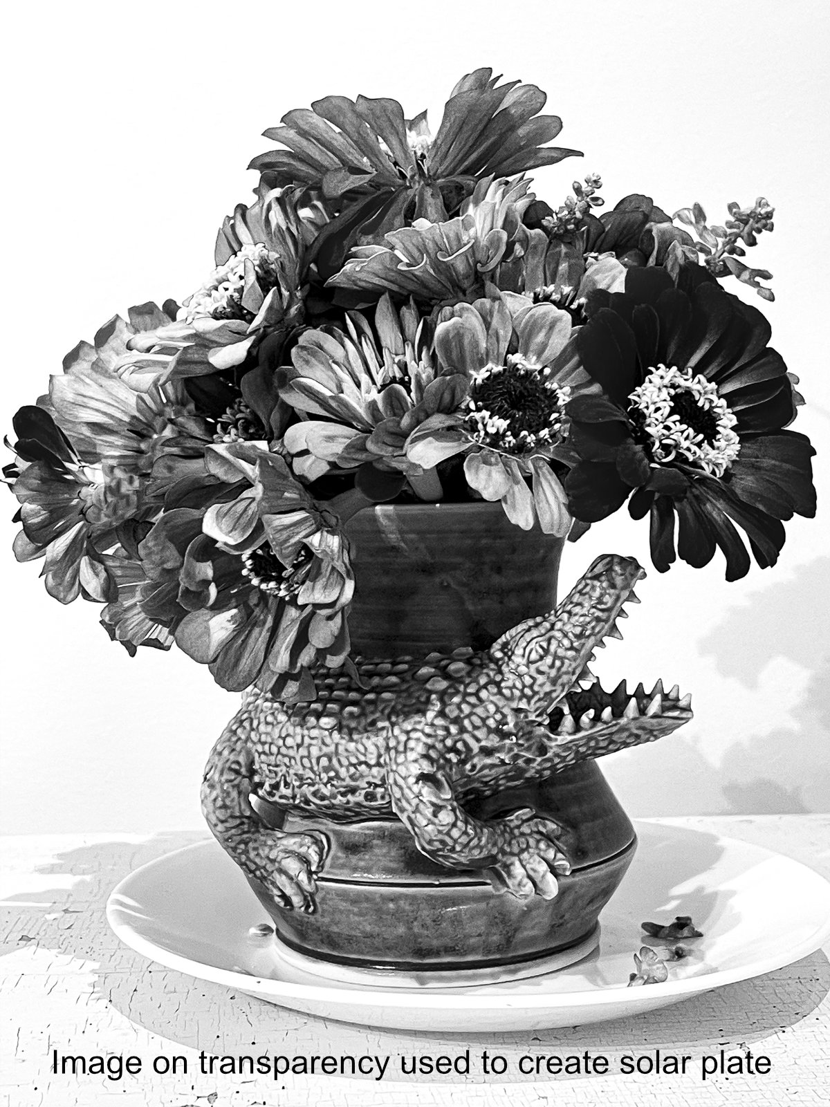Workshop Image