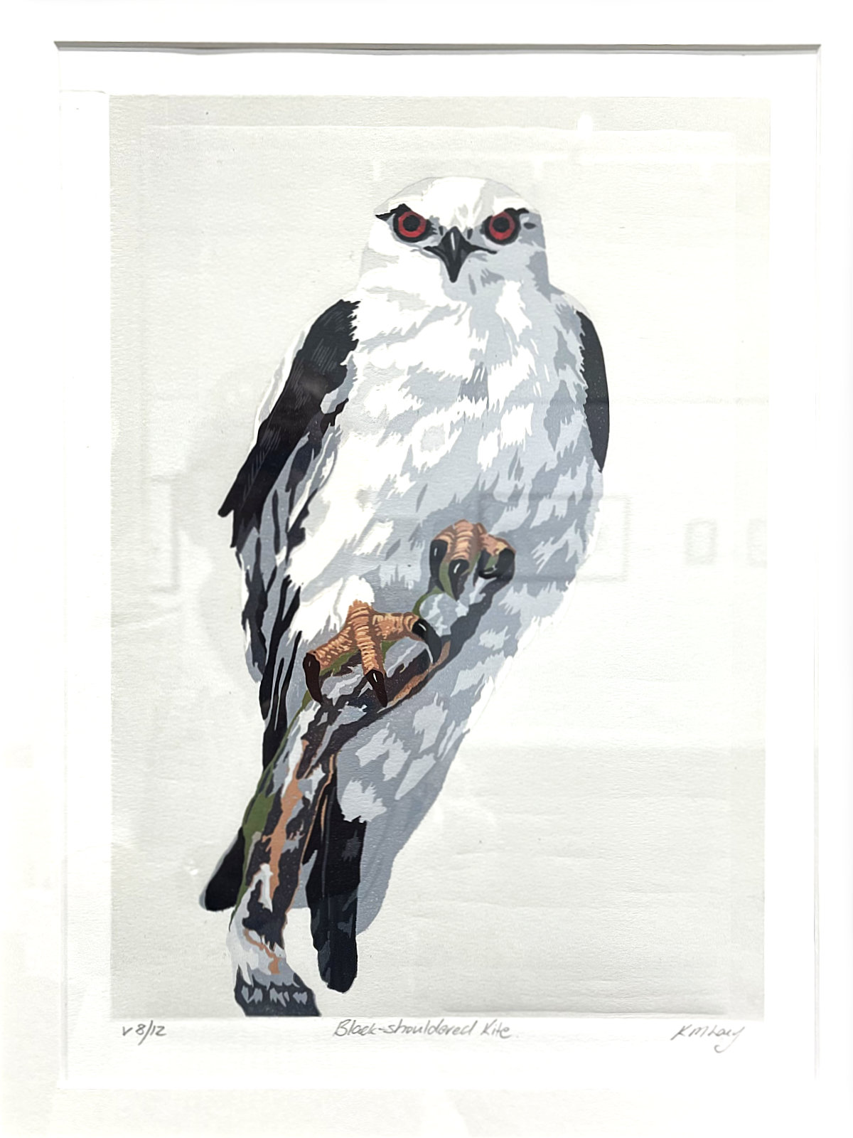 Exhibition Work