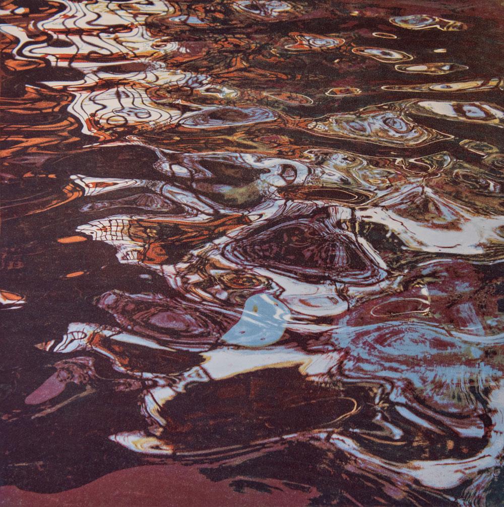 VAR Gum Bichromate print