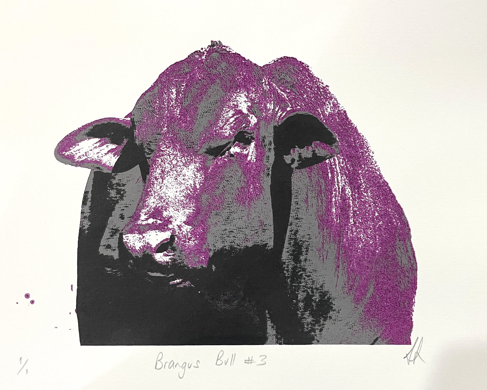 Screenprint