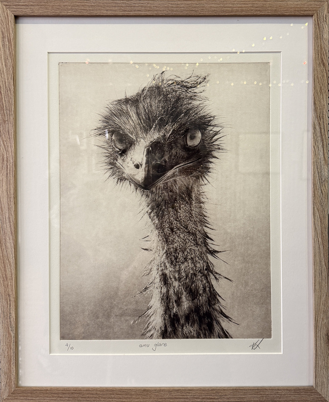 Emu Glare