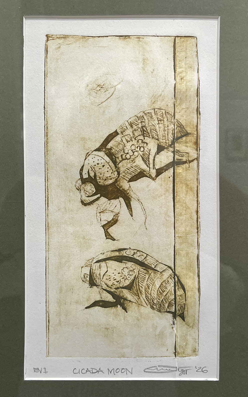 Cicada Moon 2026